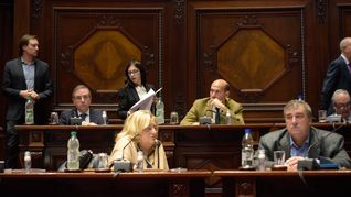 La oposición rechazó los artículos vinculados a salud, deuda y contratos PPP, pero el oficialismo impuso su mayoría.