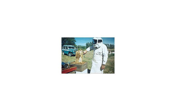 ámbito.com | Los productores apícolas atraviesan un difisil momento