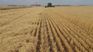El arrendamiento de tierras para uso rural aumentó un 15% el año pasado en el Uruguay.