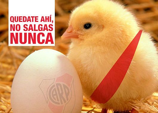 Los afiches del campeón