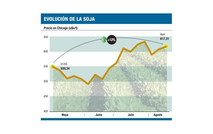 Impulso a economía: prevén supersoja para 2012/2013