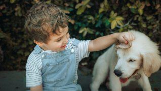 Sorpresivo hallazgo sobre la salud mental de los niños que conviven con las mascotas. Sorpresivo hallazgo sobre la salud mental de los niños que conviven con las mascotas.