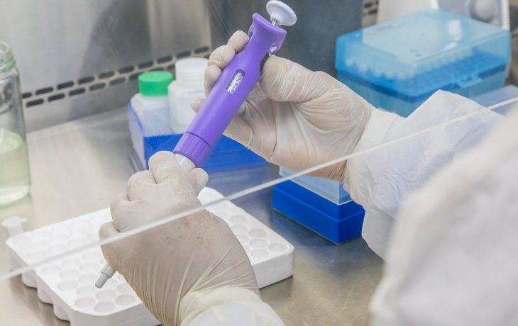 coronavirus en alemania: testeos en berlin estan cerca de agotarse