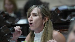 Llano se convirtió en la primera Presidente mujer de la historia del PDN. Llano se convirtió en la primera Presidente mujer de la historia del PDN.