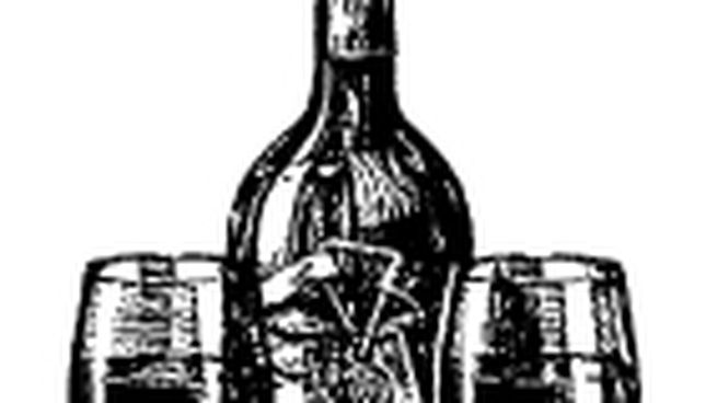fiscal - botella vino _opt.jpeg