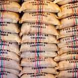Exportaciones de café: Las operaciones de exportación de café colombiano se encuentran paralizadas en su mayoría.