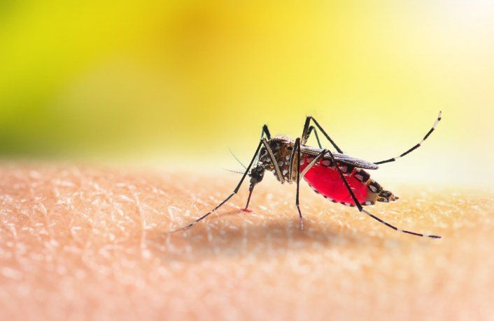 Ya hay 151.310 afectados y 106 muertes confirmadas por dengue en todo el pas.