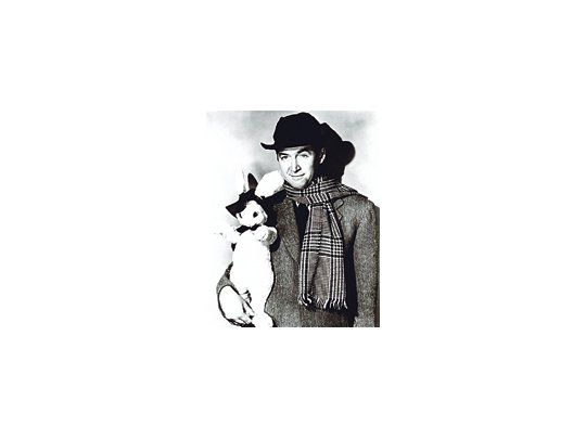 JAMES STEWART