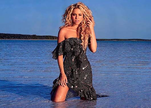 Shakira abandonaría todo por ser madre (foto 6)