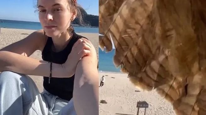 Unbelievable! He was recording a video and a bird stole his cell phone