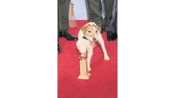El perro Uggie, de «El artista», anteanoche en la ceremonia. Aunque parezca mentira, hay muchos (incluyendo a Spielberg) que pretenden crear la categoría de Oscar para los animales.