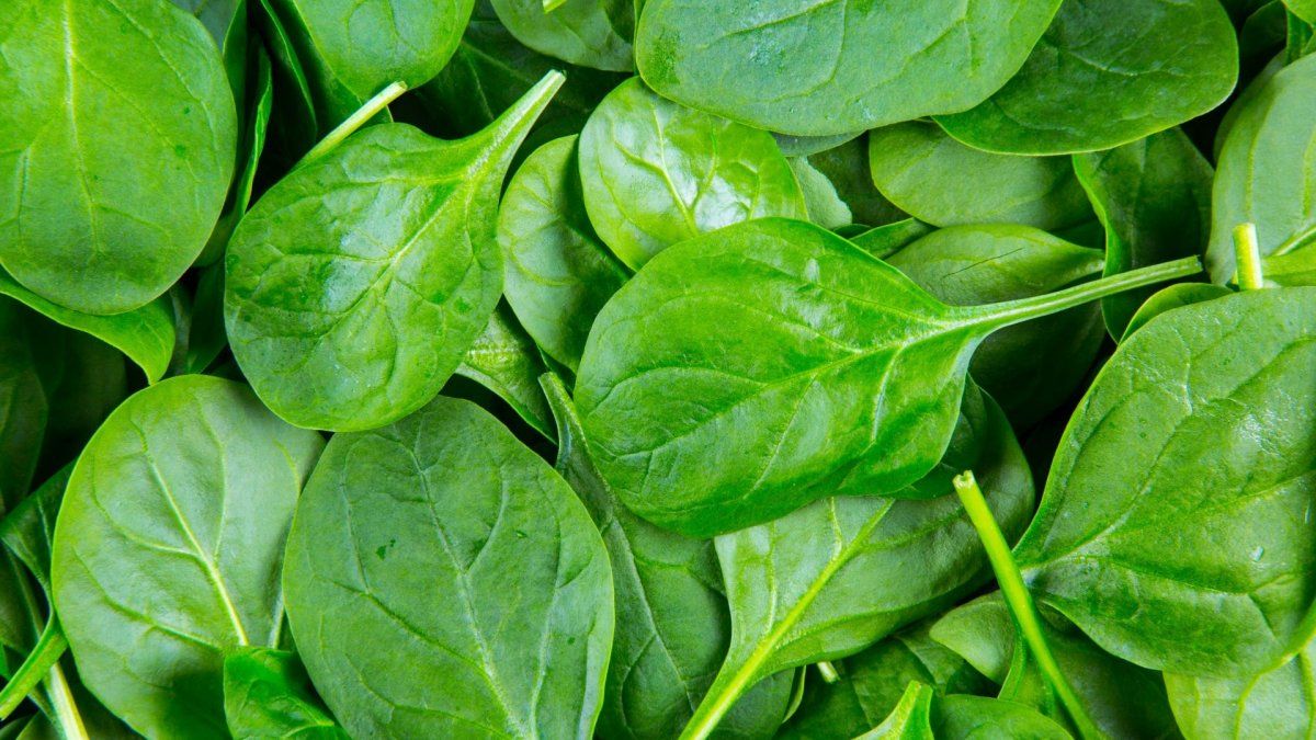 This is the best way to consume spinach and not lose its properties.