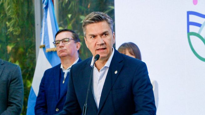 El gobernador de Chaco, Leandro Zdero.