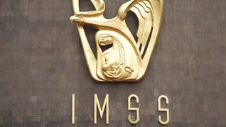 Fallo histórico sobre pensiones por viudez del IMSS. Fallo histórico sobre pensiones por viudez del IMSS.