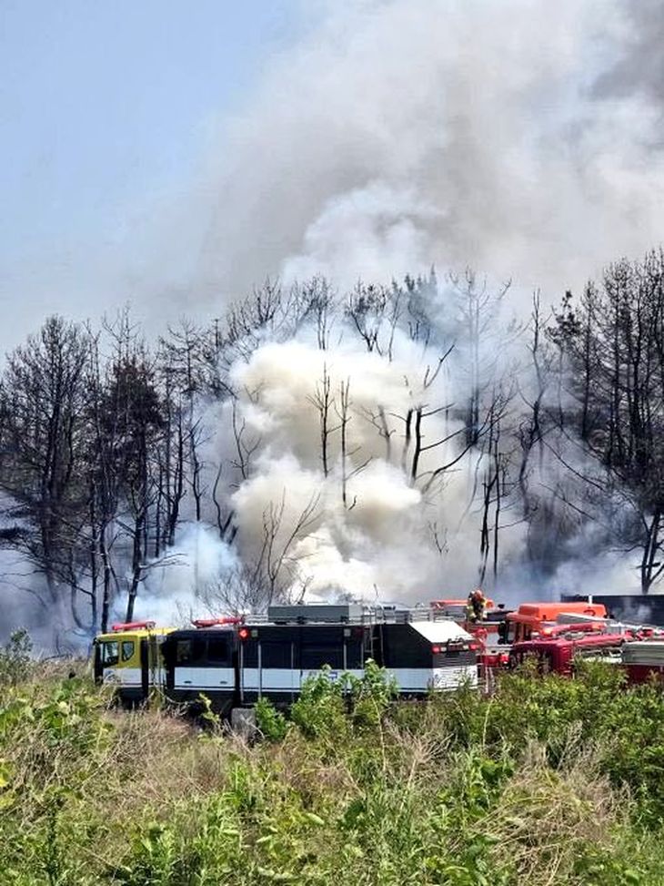 The local government began an investigation to determine the causes of the incident. The local government began an investigation to determine the causes of the incident.