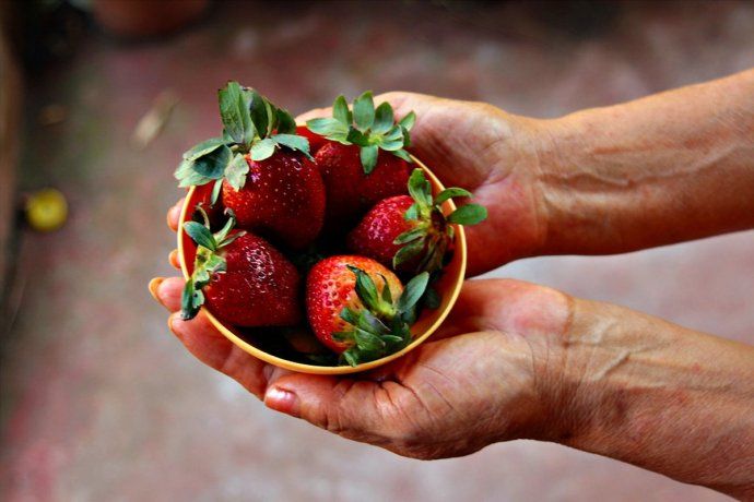Strawberries can contribute to dental health.