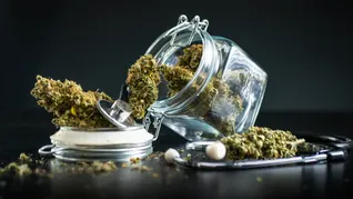 Fallo clave de la Suprema Corte sobre el cannabis. Fallo clave de la Suprema Corte sobre el cannabis.