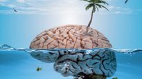 Cerebro.