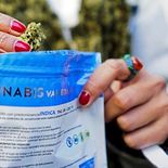 Aumentó el precio del cannabis legal en las farmacias de Uruguay. Aumentó el precio del cannabis legal en las farmacias de Uruguay.