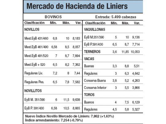 Precio récord en novillitos