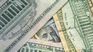 What does the Argentine market expect to happen with the dollar and how will it affect the price gap? What does the Argentine market expect to happen with the dollar and how will it affect the price gap?