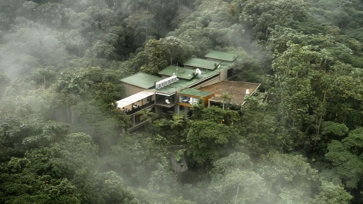 The Ecuadorian hotel hidden inside a forest reserve: what is the Mashpi Lodge