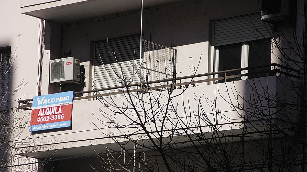 How much does it cost to rent in CABA and how much will the March contracts go for?