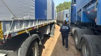 El Gobierno modifica el plazo de liquidación de divisas para maíz partido en exportaciones