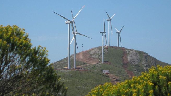 El parque eólico de UTE en Uruguay entregará dividendos a sus accionistas por sexta vez.