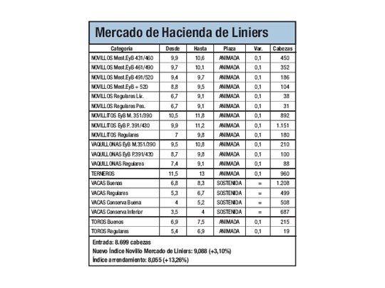 Novillos subieron entre 0,9% y 1,6%