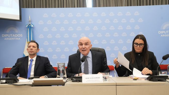 José Luis Espert, encargado de presidir la comisión que debate el Presupuesto 2026.
