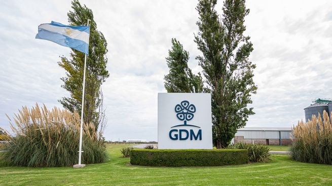 GDM opera en 15 países y cuenta con un equipo de 3.400 colaboradores. 