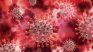 COVID-19, the virus that caused the largest pandemic in the history of humanity. COVID-19, the virus that caused the largest pandemic in the history of humanity.
