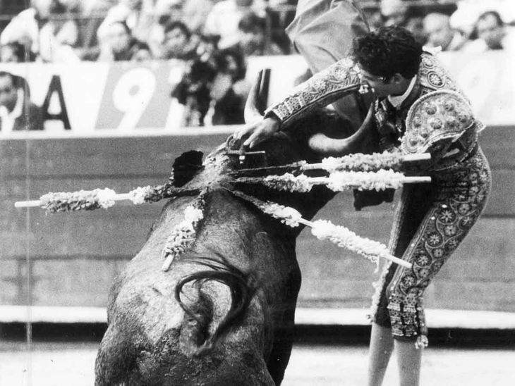 Un decreto publicado en 1916 por el gobierno de Carranza prohíbe las corridas de toros en toda la República. Un decreto publicado en 1916 por el gobierno de Carranza prohíbe las corridas de toros en toda la República.