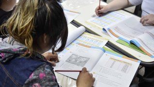 En Argentina, solo el 45% de los alumnos comprende lo que lee al finalizar el primer ciclo.