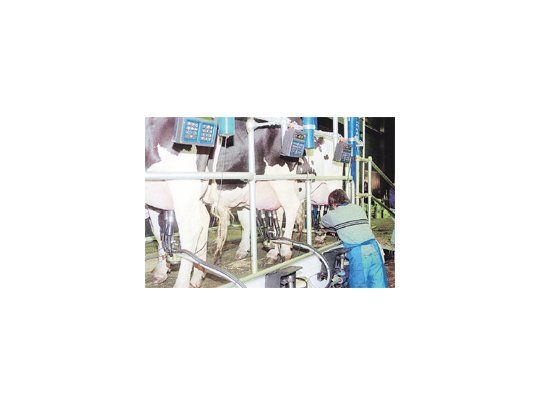 China extremó sus medidas sanitarias ya que tiene en su historia reciente varios casos de contaminación con productos lácteos, provenientes tanto del mercado interno como del externo.