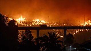 Uruguay brindará apoyo a Chile tras los incendios forestales que se cobraron 20 víctimas Uruguay brindará apoyo a Chile tras los incendios forestales que se cobraron 20 víctimas