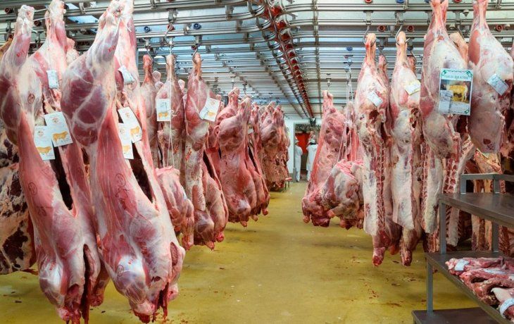 Carne: Gobierno planea baja de retenciones y quiere lanzar programa de precios populares