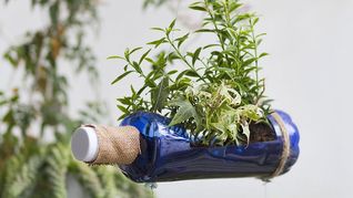 Las botellas de plástico pueden ser reutilizadas de distintas maneras para ayudar al planeta. Las botellas de plástico pueden ser reutilizadas de distintas maneras para ayudar al planeta.