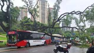 El choque obligó a frenar el tránsito en las Barrancas de Belgrano. El choque obligó a frenar el tránsito en las Barrancas de Belgrano.