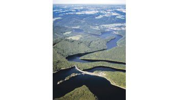 El Gobierno brasileño anunció que la deforestación en el Amazonas cayó a su mínimo histórico.