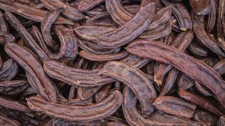La algarroba cuenta con propiedades beneficiosas especialmente para el intestino. La algarroba cuenta con propiedades beneficiosas especialmente para el intestino.