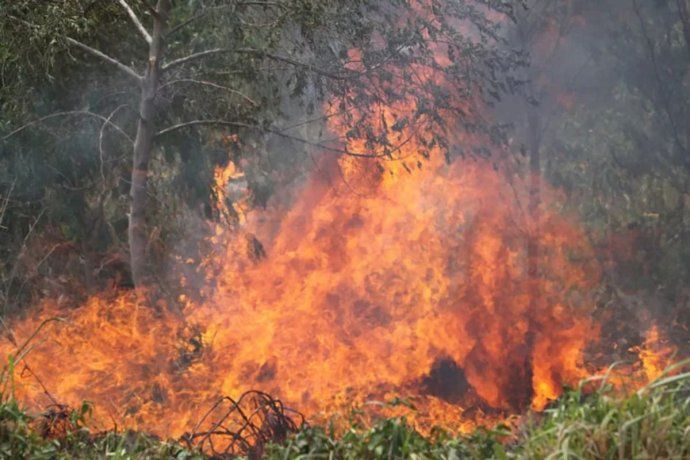 Los incendios en Bolivia no cesan y ya afectaron a miles de hectáreas.