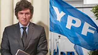 Qué piensa Javier Milei sobre YPF.&nbsp;
