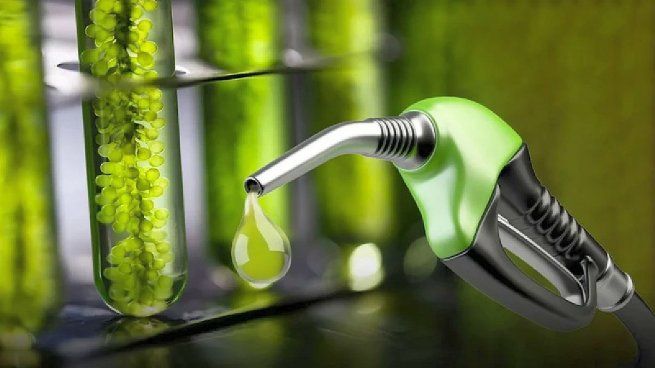 Desde septiembre de 2021, los precios del bioetanol son actualizados mensualmente por la Secretaría de Energía.