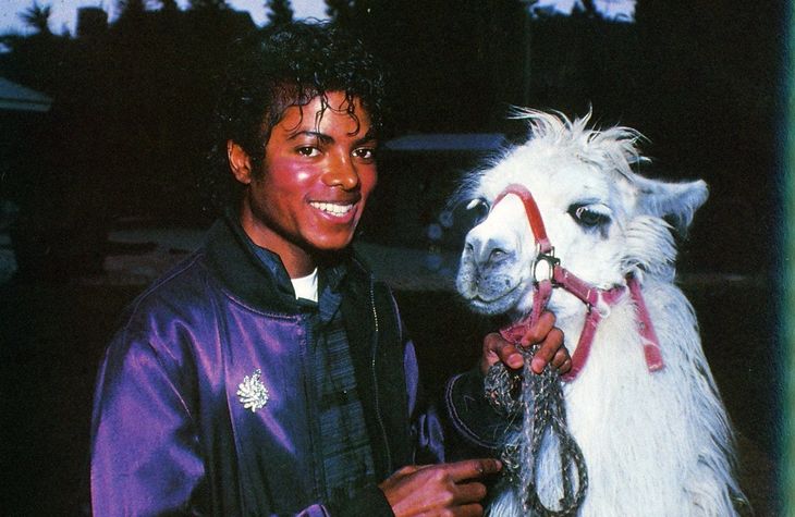 The insolite reason why Freddie Mercury refused to record with Michael Jackson: a flame