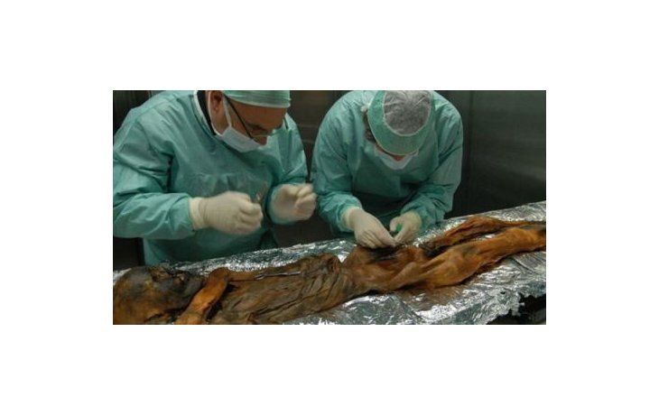 Investigadores. Según pudieron determinar, la momia tenía 45 años, medía 1,65, el promedio de la época, y pesaba 50 kilos.