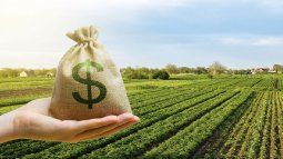 International soybean prices are falling and producers are retaining liquidation. International soybean prices are falling and producers are retaining liquidation.
