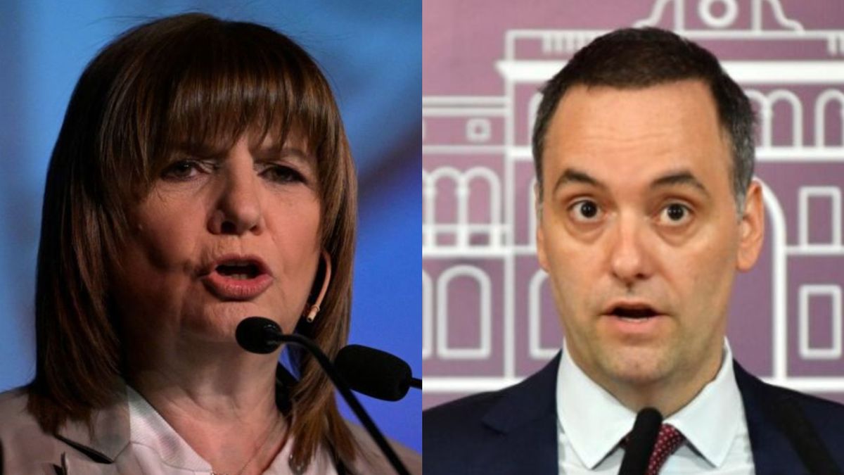 Although Javier Milei requested “austere vacations”, Patricia Bullrich and Manuel Adorni will travel to the United States
