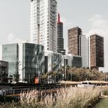 Empezó con un encargo de pay de pera con almendras, pudo abrir su primera pastelería en Guadalajara y ahora es una poderosa empresaria con más de 100 sucursales en Jalisco Empezó con un encargo de pay de pera con almendras, pudo abrir su primera pastelería en Guadalajara y ahora es una poderosa empresaria con más de 100 sucursales en Jalisco